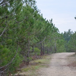 2016-12-10 Bordeaux/Cap Ferret/DSC_0183.JPG